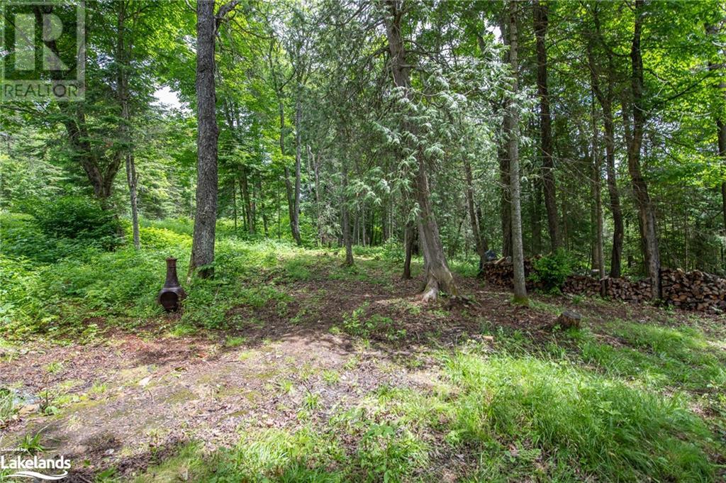 975 Boundary Road, Huntsville, Ontario  P0A 1R0 - Photo 4 - 40592128