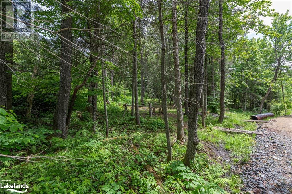 975 Boundary Road, Huntsville, Ontario  P0A 1R0 - Photo 6 - 40592128