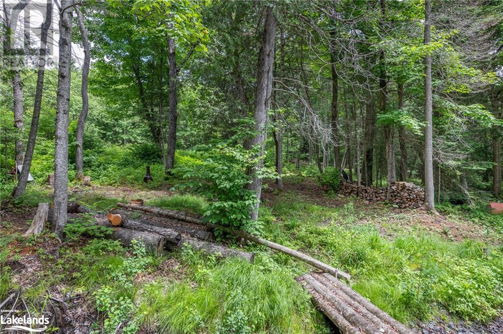 975 Boundary Road, Huntsville, Ontario  P0A 1R0 - Photo 8 - 40592128