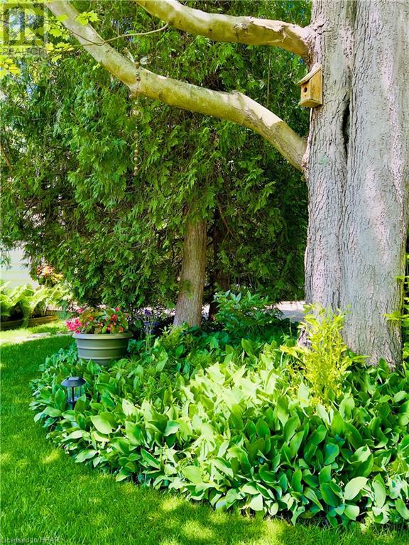 551 Attawandaron Road, Point Clark, Ontario  N2Z 2X3 - Photo 10 - 40590520