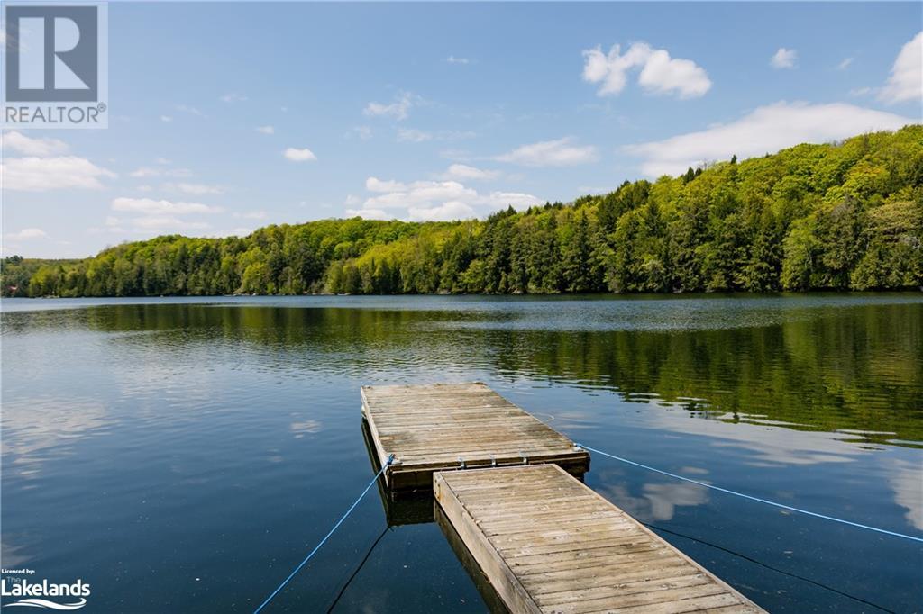 1299 Precipice Road, Haliburton, Ontario  K0M 1S0 - Photo 27 - 40554184