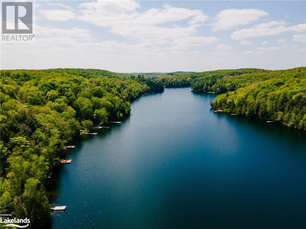 1299 Precipice Road, Haliburton, Ontario  K0M 1S0 - Photo 14 - 40554184