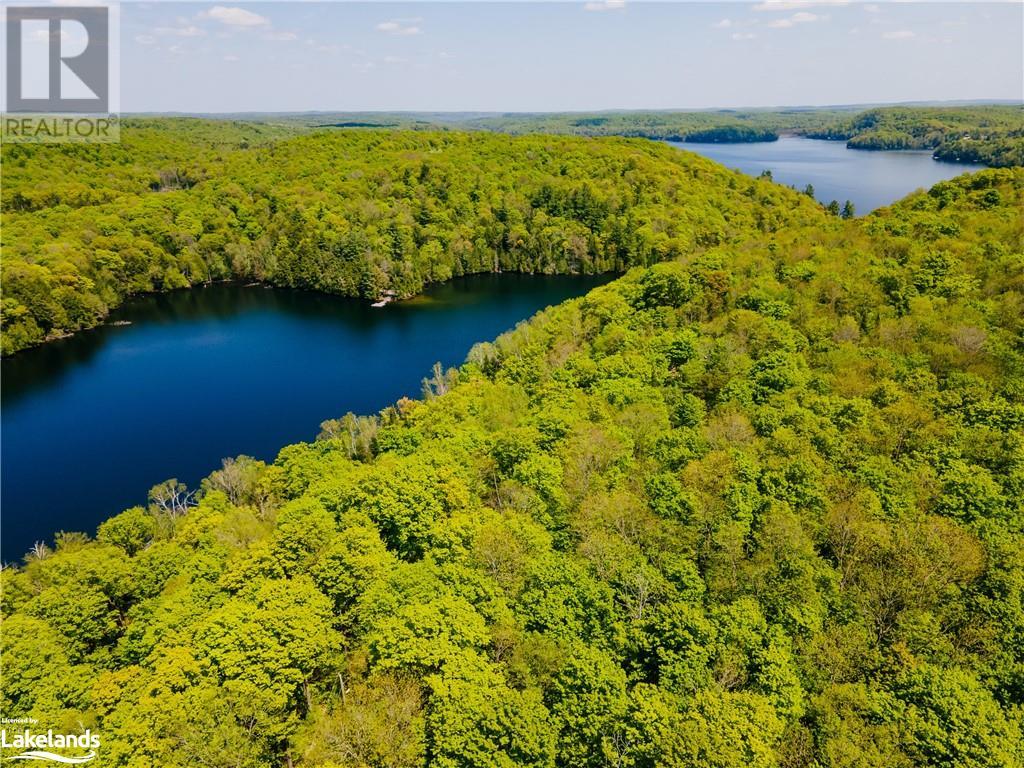 1299 Precipice Road, Haliburton, Ontario  K0M 1S0 - Photo 17 - 40554184
