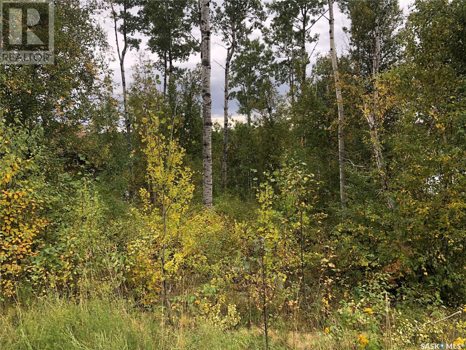 13 Jensen Bay - Blue Heron Ridge, Fish Lake, Saskatchewan  S0J 0K0 - Photo 24 - SK969966