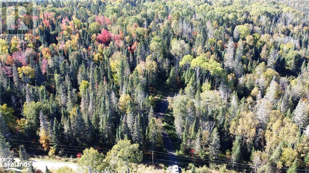 4304 Alsace Road, Nipissing, Ontario  P0H 1J0 - Photo 15 - 40591615