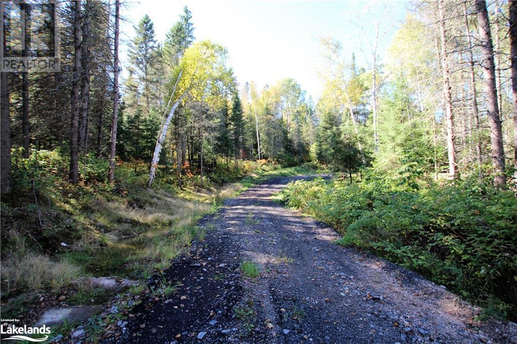 4304 Alsace Road, Nipissing, Ontario  P0H 1J0 - Photo 16 - 40591615