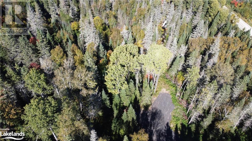 4304 Alsace Road, Nipissing, Ontario  P0H 1J0 - Photo 17 - 40591615