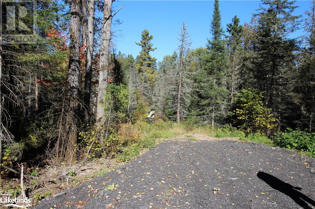 4304 Alsace Road, Nipissing, Ontario  P0H 1J0 - Photo 18 - 40591615