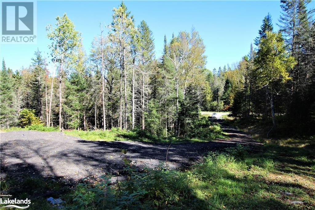 4304 Alsace Road, Nipissing, Ontario  P0H 1J0 - Photo 19 - 40591615