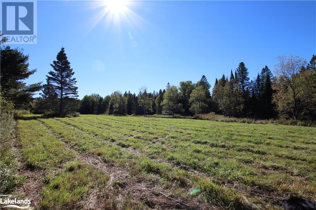 4304 Alsace Road, Nipissing, Ontario  P0H 1J0 - Photo 23 - 40591615
