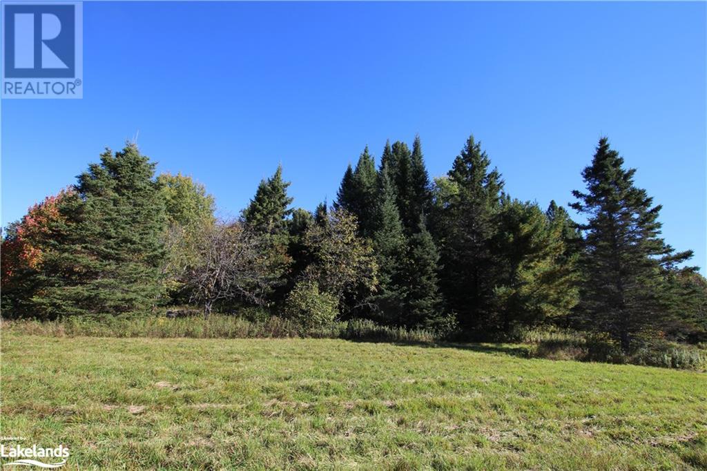 4304 Alsace Road, Nipissing, Ontario  P0H 1J0 - Photo 28 - 40591615