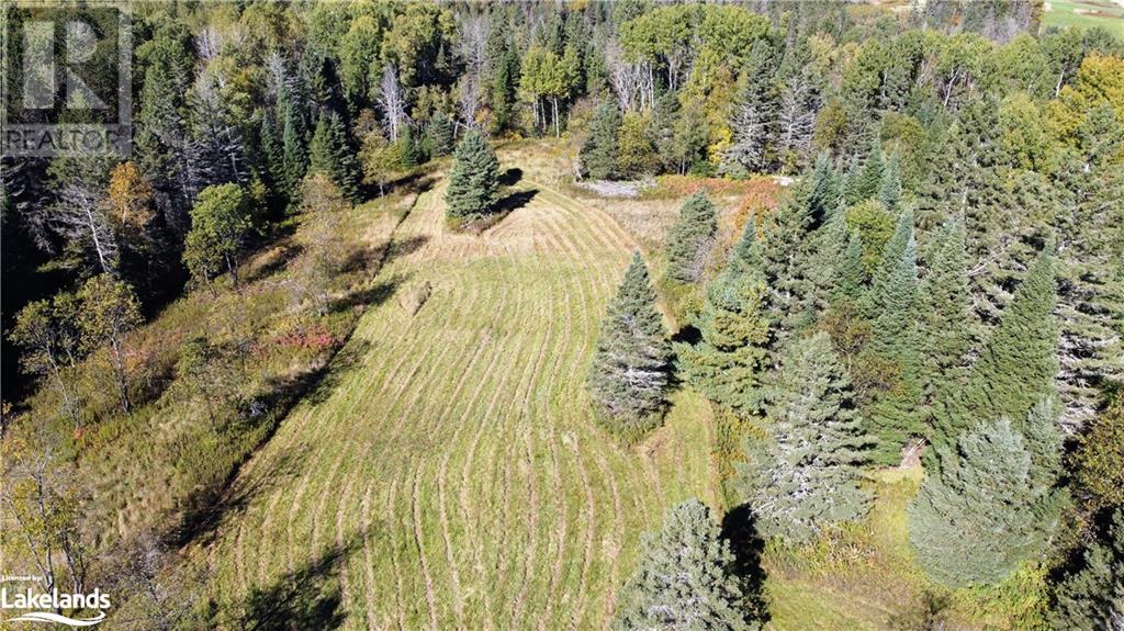 4304 Alsace Road, Nipissing, Ontario  P0H 1J0 - Photo 5 - 40591615