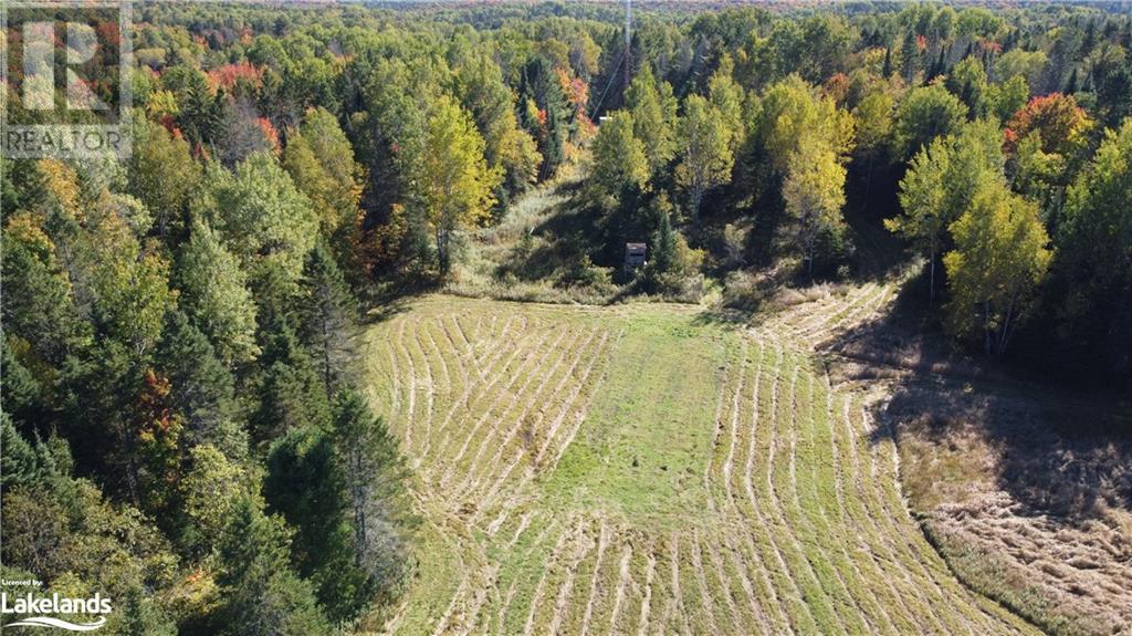 4304 Alsace Road, Nipissing, Ontario  P0H 1J0 - Photo 8 - 40591615