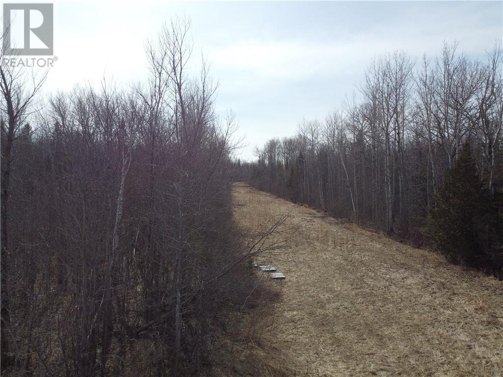 Lot 31 Cardwell Street, Manitoulin Island, Ontario  P0P 1N0 - Photo 16 - 2115464