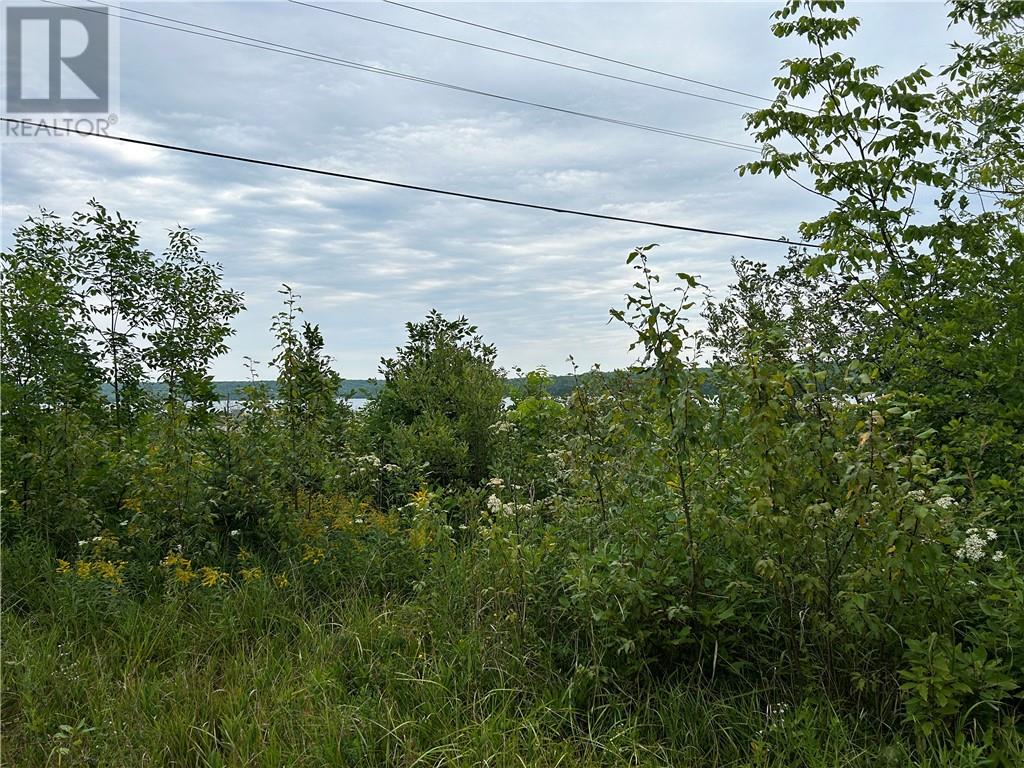 Lot 31 Cardwell Street, Manitoulin Island, Ontario  P0P 1N0 - Photo 6 - 2115464