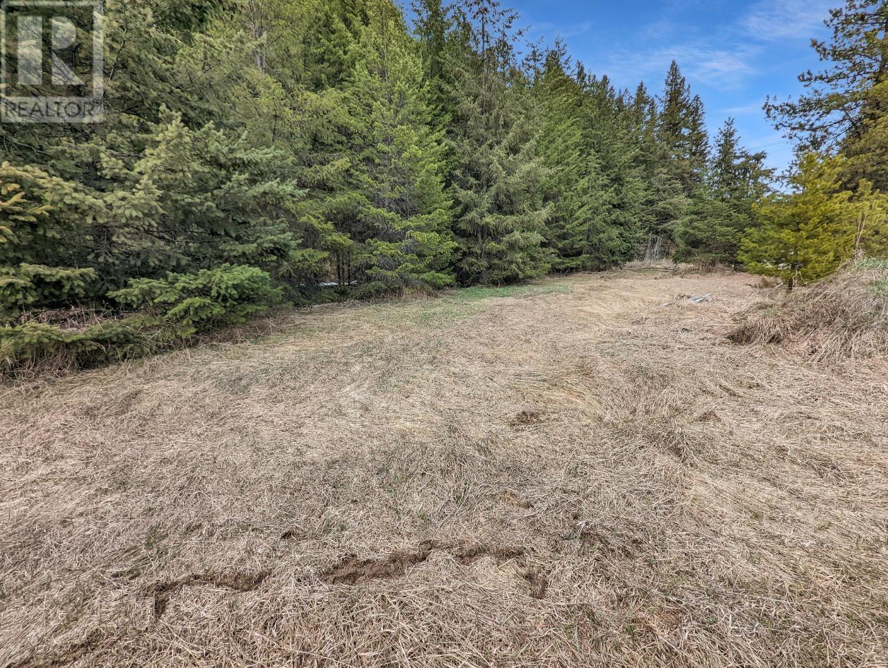 217 CANDLE CREEK ROAD, clearwater, British Columbia