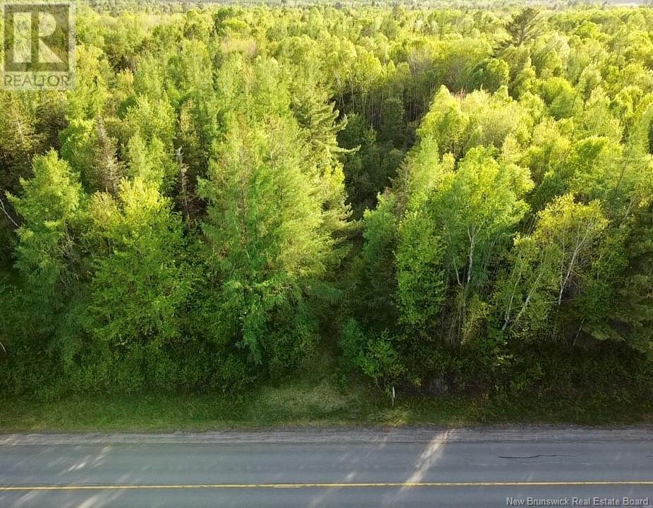 Lot 630 Route, Harvey, New Brunswick  E6J 1Y3 - Photo 8 - NB098951