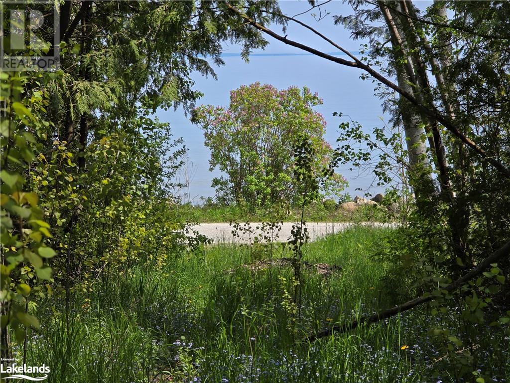 Lot 42 Lakeshore Road, Meaford, Ontario  N4L 1W7 - Photo 8 - 40592094