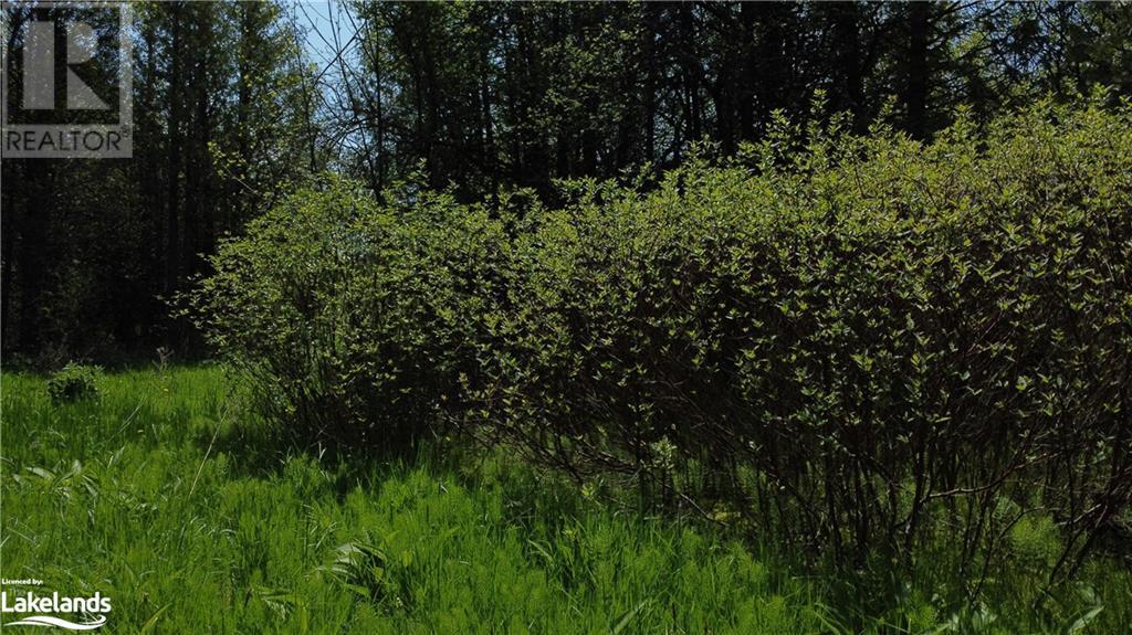 Lot 42 Lakeshore Road, Meaford, Ontario  N4L 1W7 - Photo 12 - 40592094
