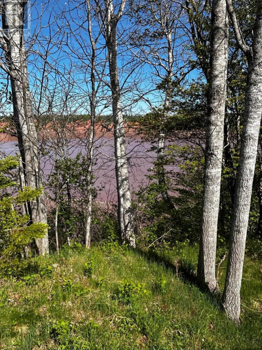 Lot 2 Highway 215, Maitland, Nova Scotia  B0N 1T0 - Photo 4 - 202411117