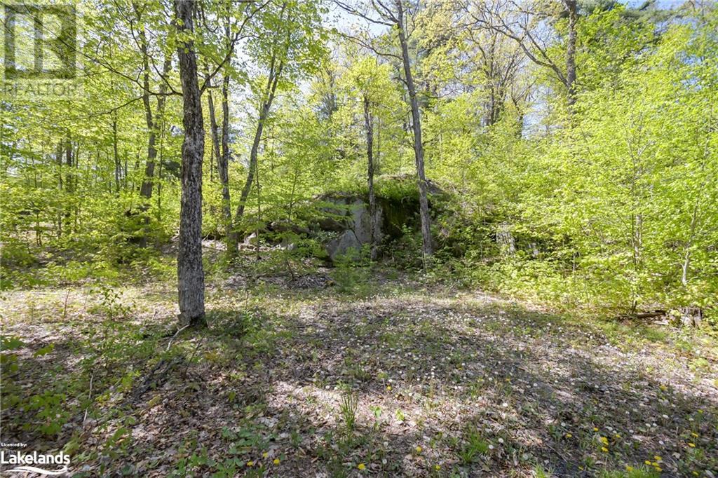 56 10th Concession Road, Humphrey, Ontario  P2A 2W8 - Photo 12 - 40590154