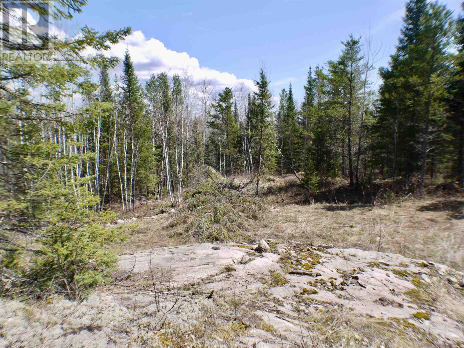 0 Brown Bay Rd, Dinorwic, Ontario  P9N 3G2 - Photo 3 - TB241359