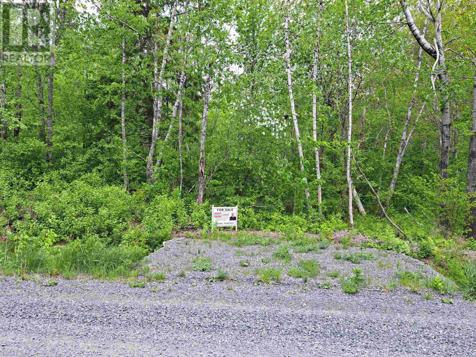 4 Mattatal Branch Road, West Tatamagouche, Nova Scotia  B0K 1V0 - Photo 8 - 202410623