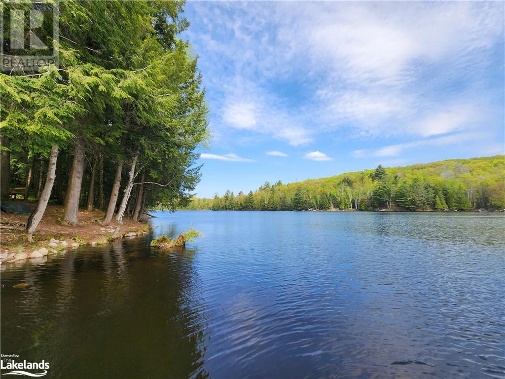 1045 Merlin Lane, Haliburton, Ontario  K0M 1S0 - Photo 19 - 40591996