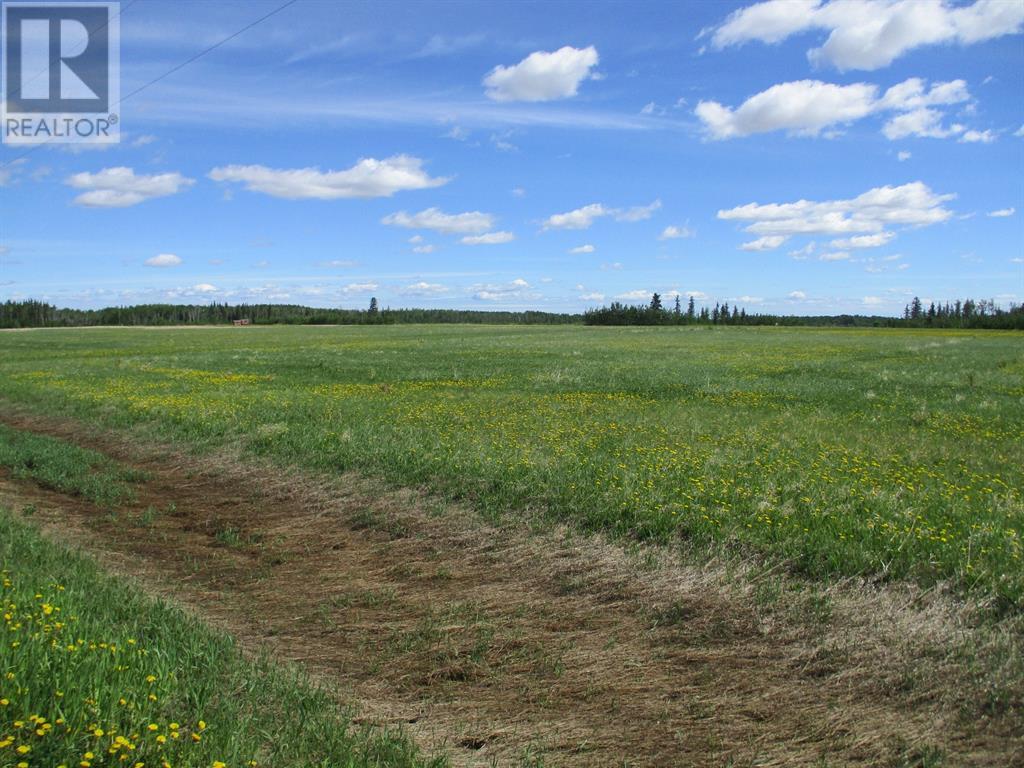 Lorem Ipsum Dolor, County Of, Alberta  T0H  - Photo 4 - DEMO23285511
