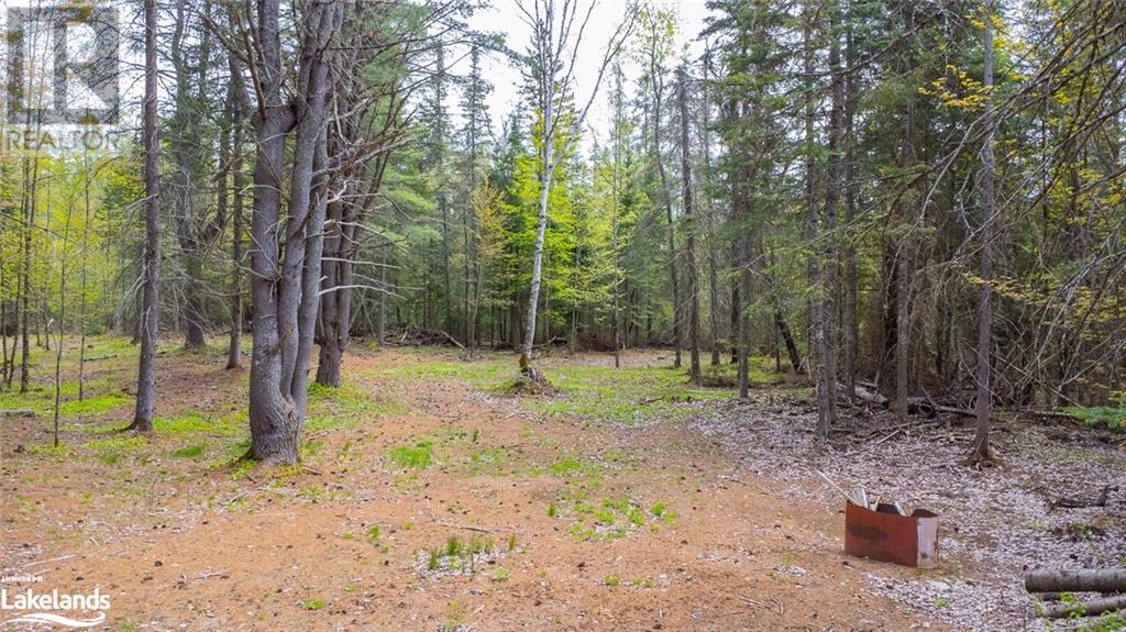 Part 11-12 Con 6 Haliburton Lake Road, Haliburton, Ontario  K0M 1S0 - Photo 5 - 40585911