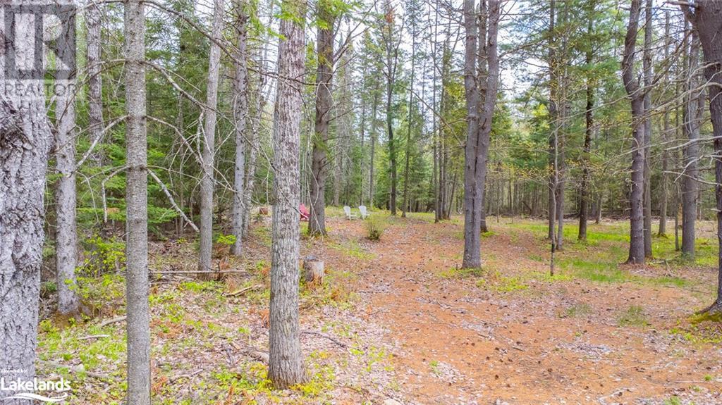 Part 11-12 Con 6 Haliburton Lake Road, Haliburton, Ontario  K0M 1S0 - Photo 6 - 40585911