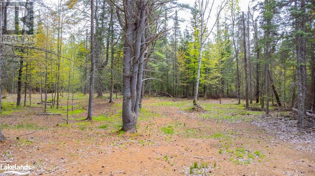 Part 11-12 Con 6 Haliburton Lake Road, Haliburton, Ontario  K0M 1S0 - Photo 7 - 40585911