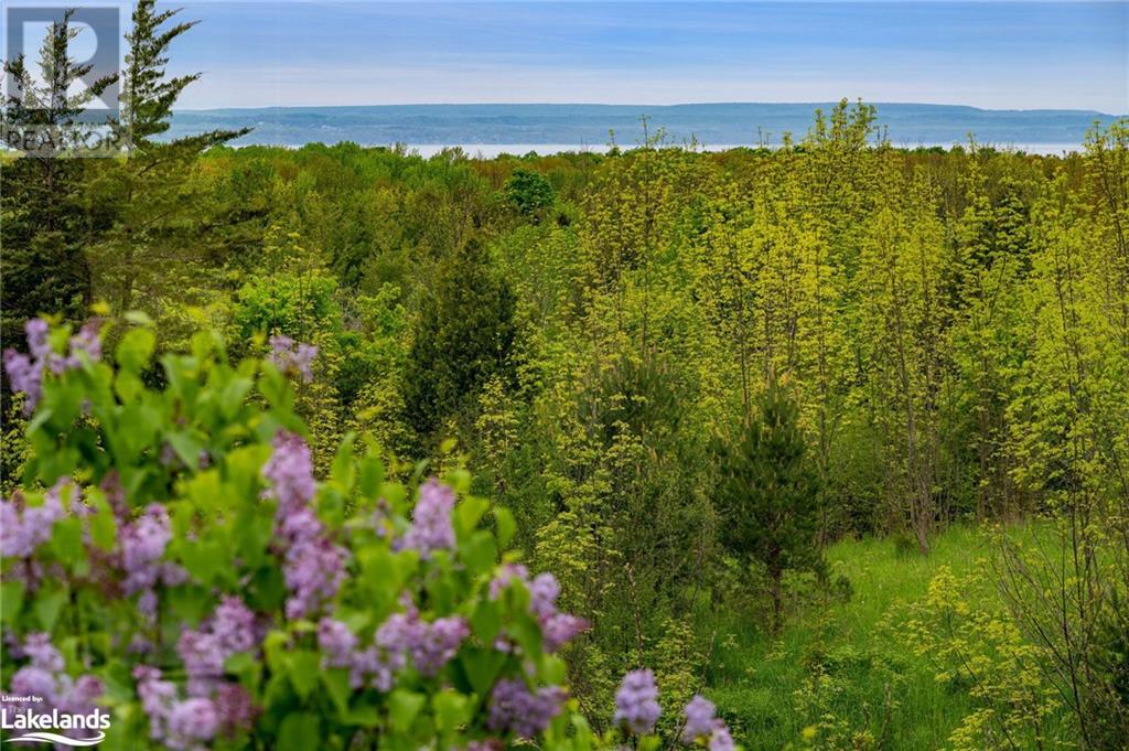438764 Grey Road 15, Meaford (Municipality), Ontario  N4K 5N3 - Photo 4 - 40592693