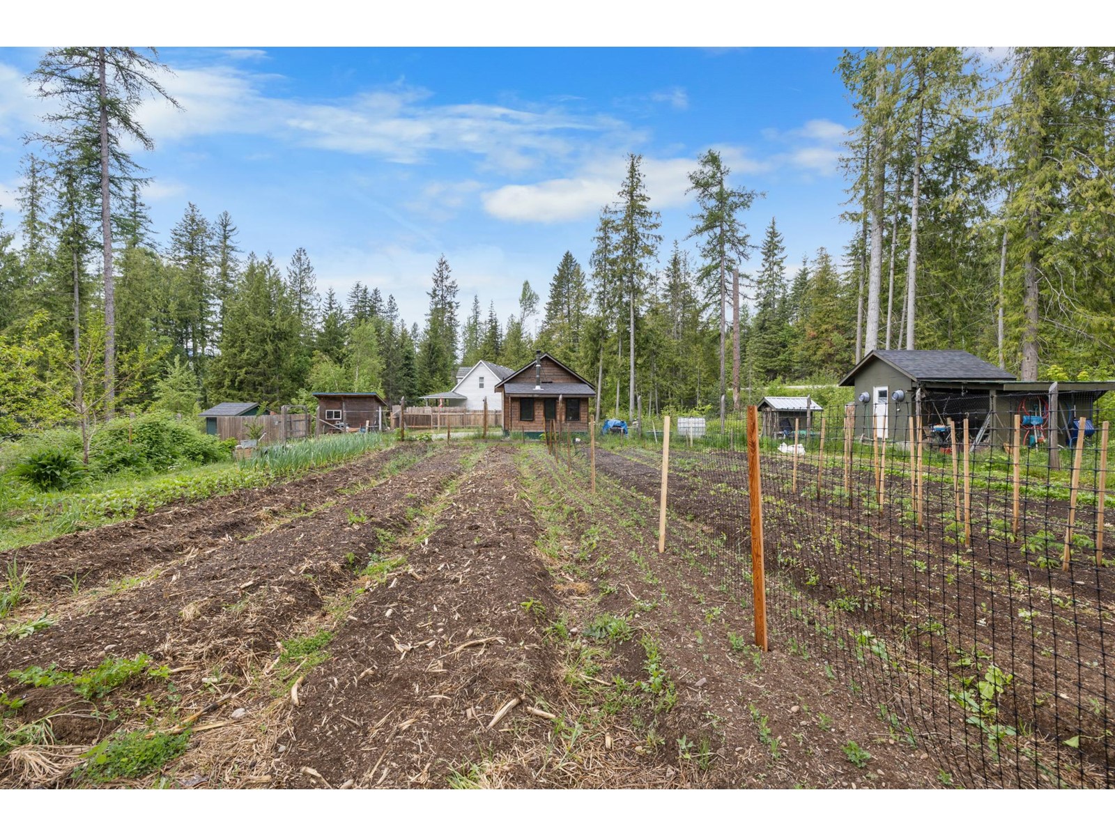 16317 Bowe Road, Crawford Bay, British Columbia  V0B 1E0 - Photo 4 - 2477141
