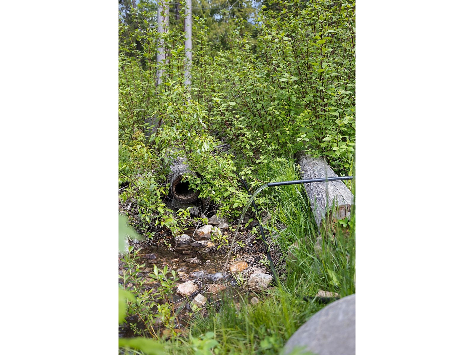 16317 Bowe Road, Crawford Bay, British Columbia  V0B 1E0 - Photo 39 - 2477141