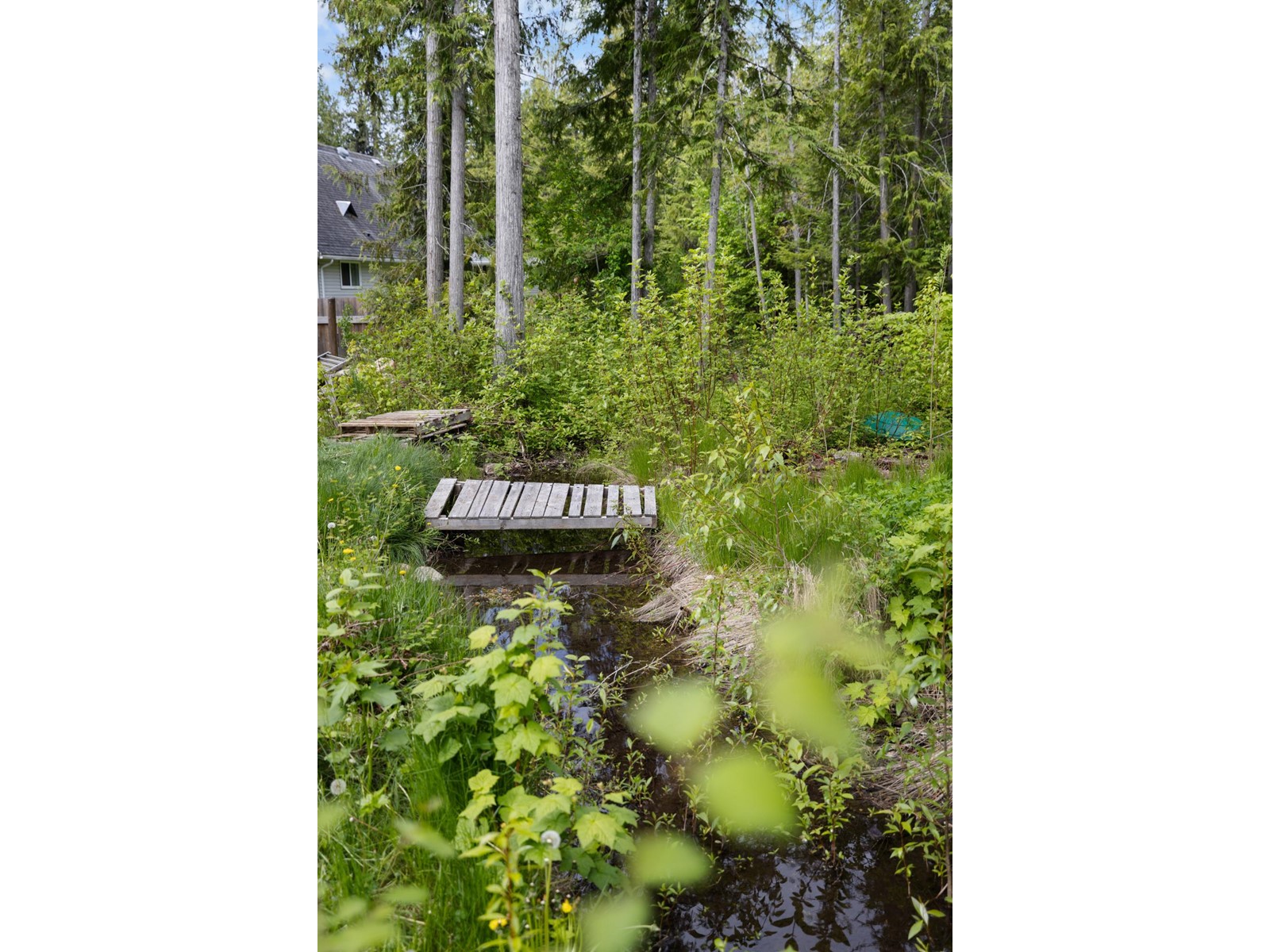 16317 Bowe Road, Crawford Bay, British Columbia  V0B 1E0 - Photo 6 - 2477141
