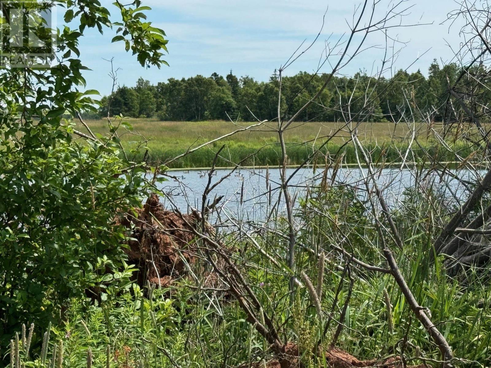 0 Point Prim Road, Belfast, Prince Edward Island  C0A 1A0 - Photo 13 - 202409490