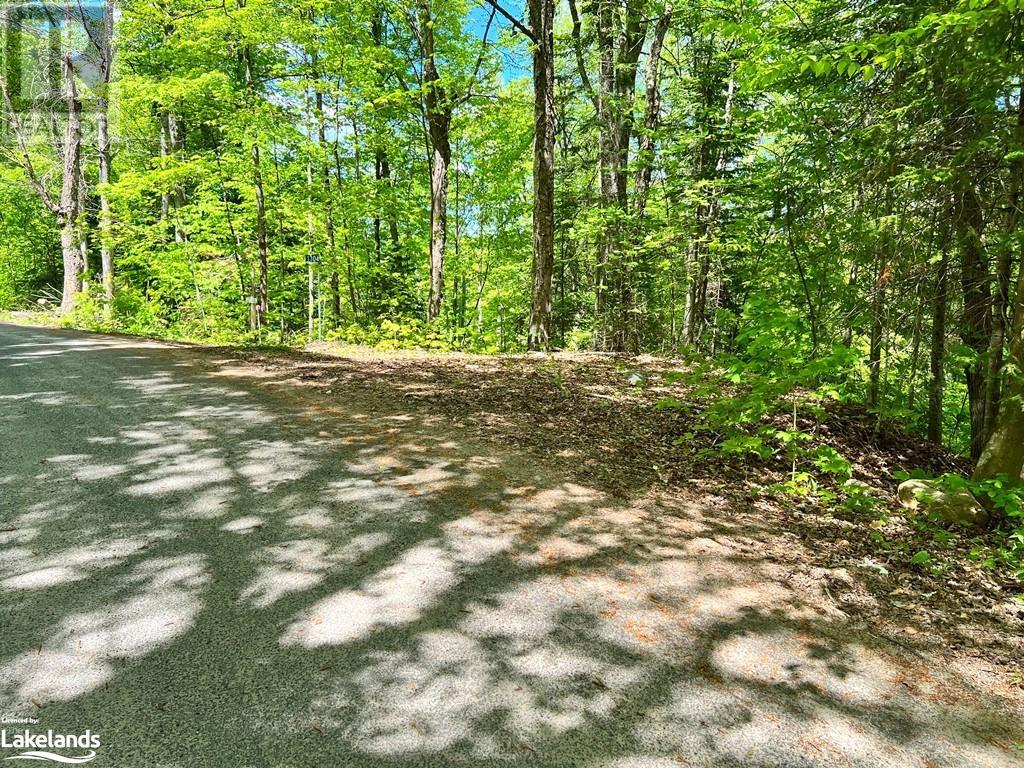 1304 Grace River Rd, Wilberforce, Ontario  K0L 3C0 - Photo 15 - 40592710