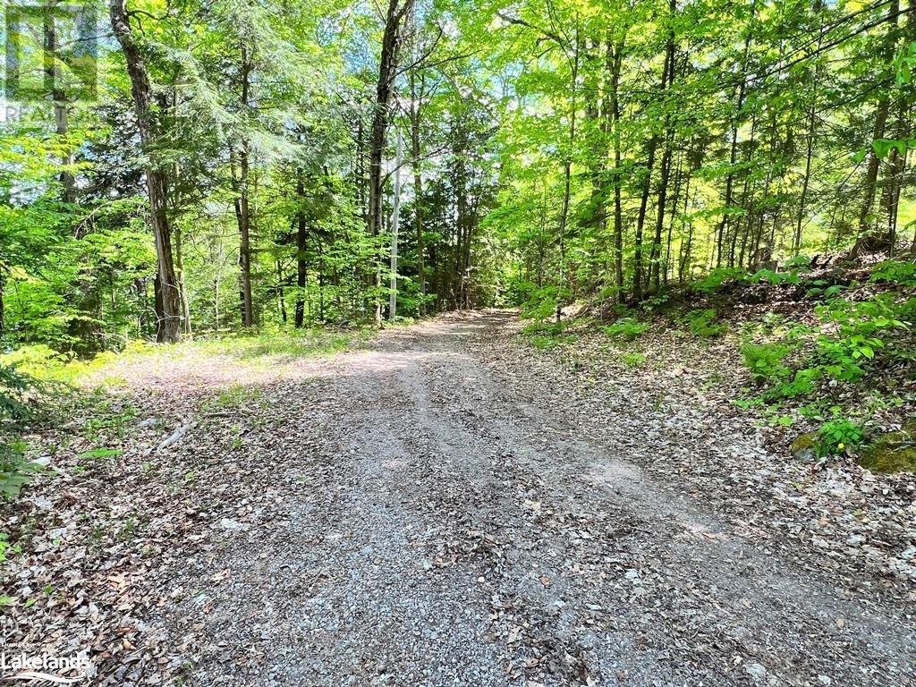 1304 Grace River Rd, Wilberforce, Ontario  K0L 3C0 - Photo 16 - 40592710
