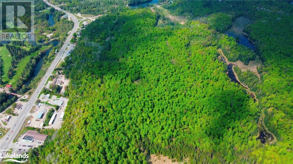 1062 County Road 21, Minden, Ontario  K0M 2K0 - Photo 2 - 40593096