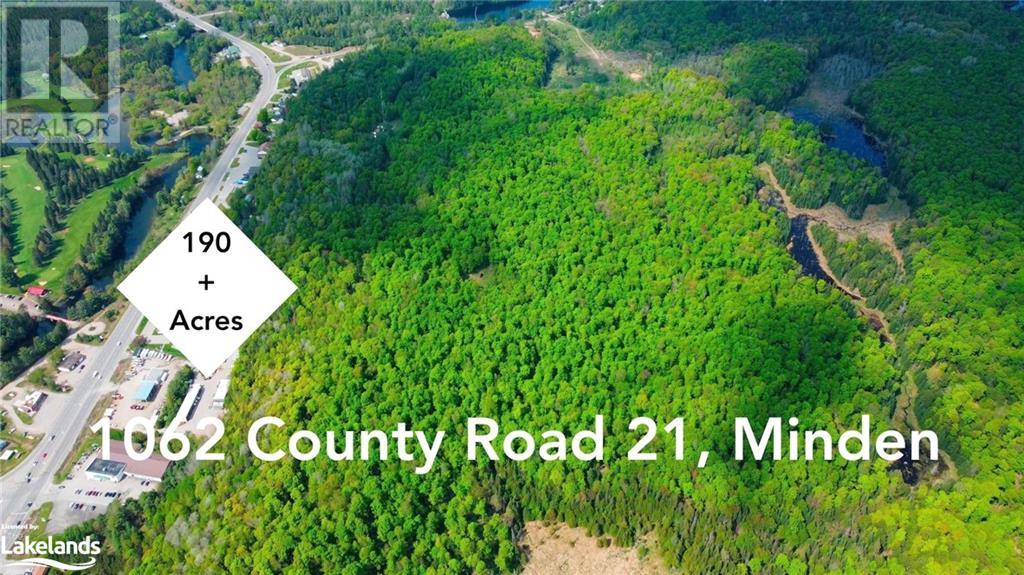 1062 County Road 21, Minden, Ontario  K0M 2K0 - Photo 3 - 40593096