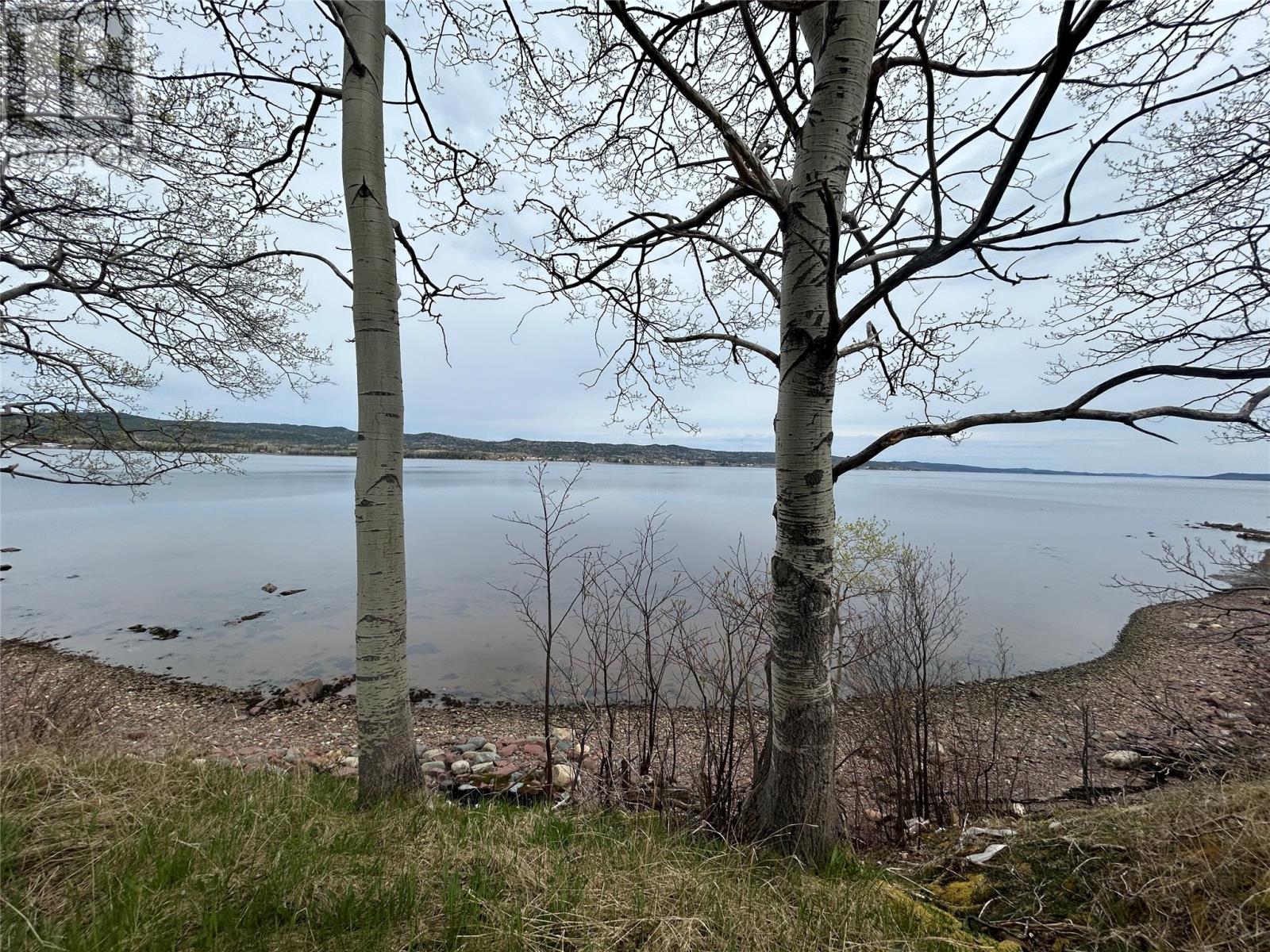 38-40 Sacrey's Road, Botwood, Newfoundland & Labrador  A0H 1E0 - Photo 3 - 1272496