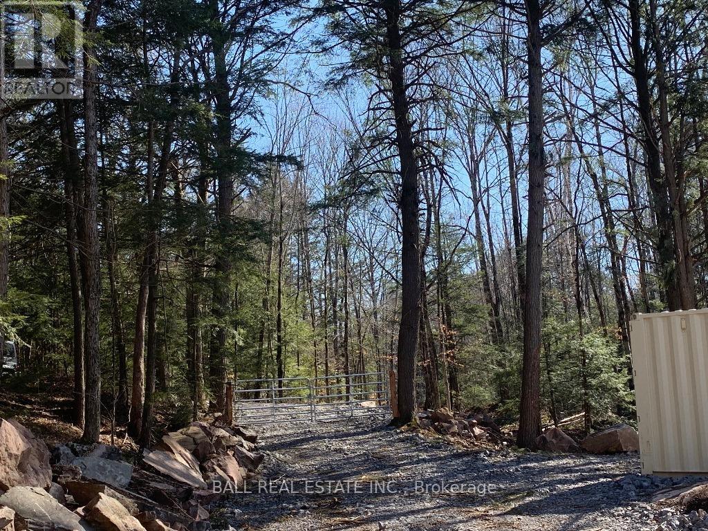 Part 21 Fire Route 67 Road, Havelock-Belmont-Methuen, Ontario  K0L 1Z0 - Photo 11 - X8359978