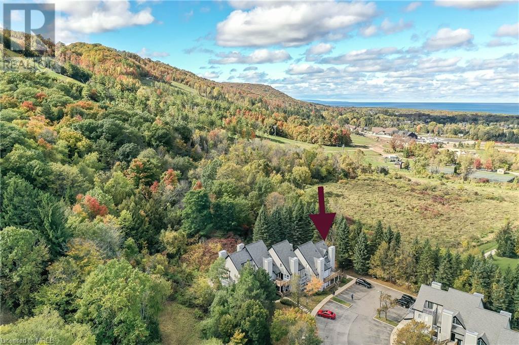 796468 Grey 19 Road Unit# 909, The Blue Mountains, Ontario  L9Y 0N6 - Photo 6 - 40592965