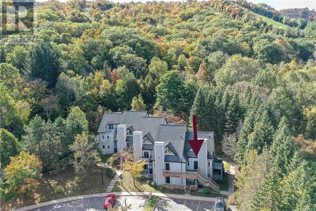 796468 Grey 19 Road Unit# 909, The Blue Mountains, Ontario  L9Y 0N6 - Photo 2 - 40592965