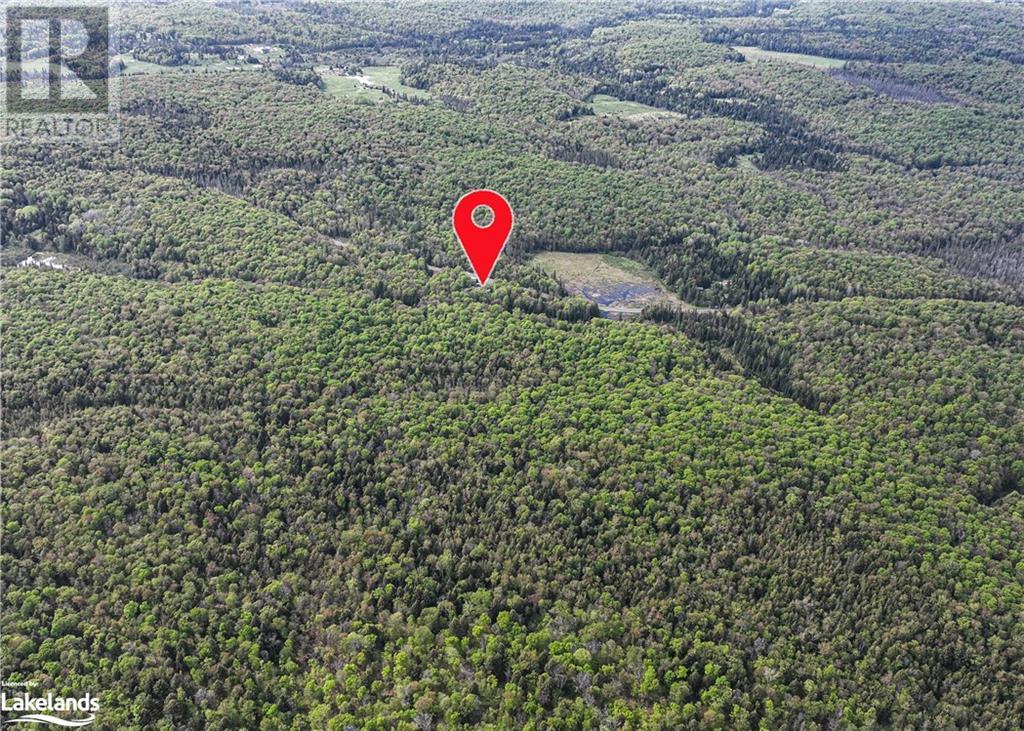 5031 Aspdin Road, Rosseau, Ontario  P0C 1J0 - Photo 42 - 40591412