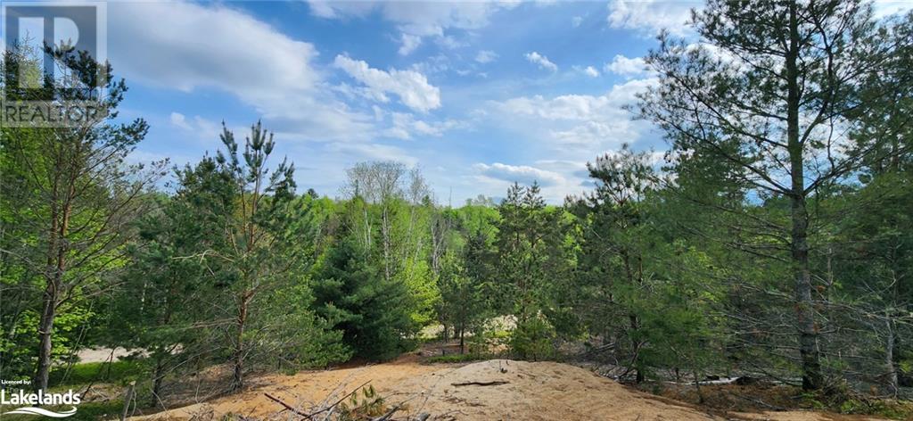 322 Goreville Road, South River, Ontario  P0A 1X0 - Photo 11 - 40592399