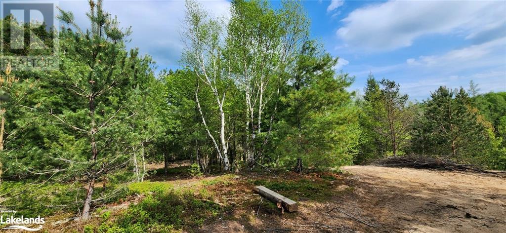 322 Goreville Road, South River, Ontario  P0A 1X0 - Photo 12 - 40592399