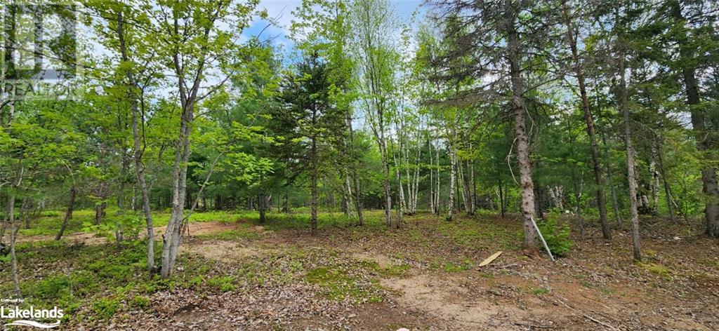322 Goreville Road, South River, Ontario  P0A 1X0 - Photo 20 - 40592399