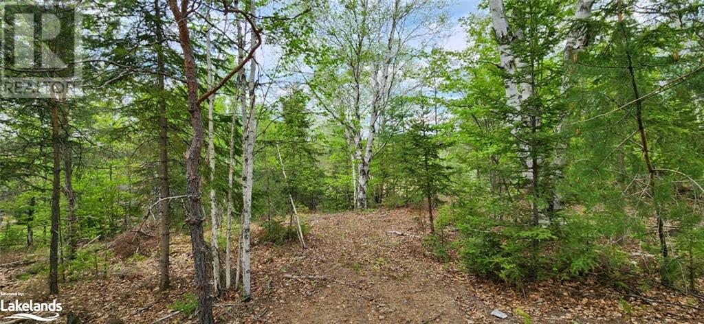 322 Goreville Road, South River, Ontario  P0A 1X0 - Photo 21 - 40592399